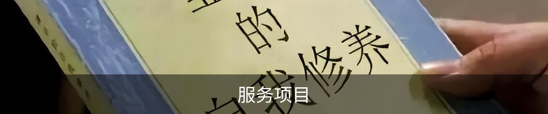 服务项目